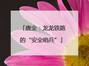 唐全：龙龙铁路的“安全哨兵”