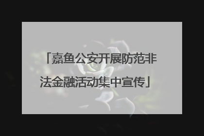 嘉鱼公安开展防范非法金融活动集中宣传