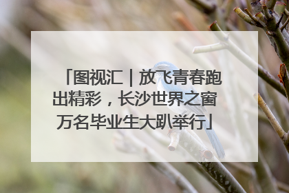 图视汇｜放飞青春跑出精彩，长沙世界之窗万名毕业生大趴举行