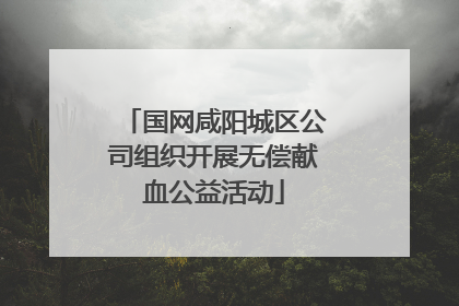 国网咸阳城区公司组织开展无偿献血公益活动