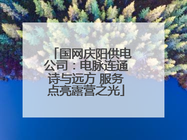 国网庆阳供电公司：电脉连通诗与远方 服务点亮露营之光