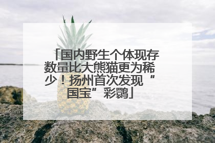 国内野生个体现存数量比大熊猫更为稀少！扬州首次发现“国宝”彩鹮