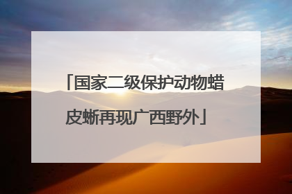 国家二级保护动物蜡皮蜥再现广西野外
