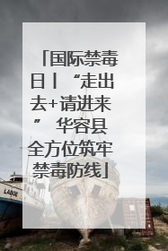国际禁毒日丨“走出去+请进来” 华容县全方位筑牢禁毒防线