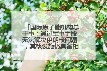 国际原子能机构总干事：通过军事手段无法解决伊朗核问题，其核设施仍具备相关产能，只需要数月就能生产出浓缩铀