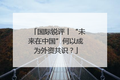国际锐评丨“未来在中国”何以成为外资共识？