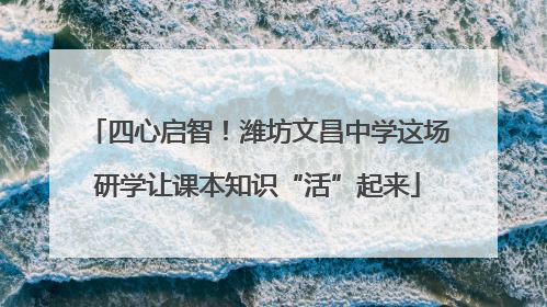 四心启智！潍坊文昌中学这场研学让课本知识“活”起来
