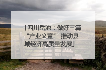 四川岳池：做好三篇“产业文章” 推动县域经济高质量发展