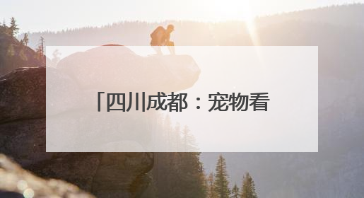 四川成都：宠物看中医体验针灸治疗