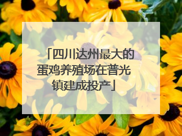 四川达州最大的蛋鸡养殖场在普光镇建成投产