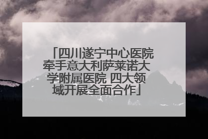 四川遂宁中心医院牵手意大利萨莱诺大学附属医院 四大领域开展全面合作