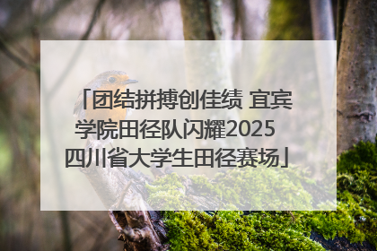 团结拼搏创佳绩 宜宾学院田径队闪耀2025四川省大学生田径赛场