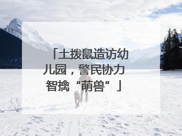 土拨鼠造访幼儿园，警民协力智擒“萌兽”