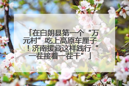 在白朗县第一个“万元村”吃上高原车厘子！济南援藏这样践行“一茬接着一茬干”