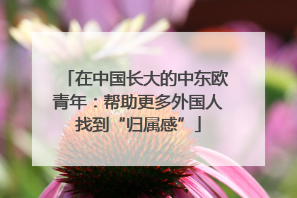 在中国长大的中东欧青年：帮助更多外国人找到“归属感”