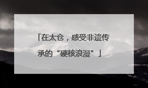 在太仓，感受非遗传承的“硬核浪漫”