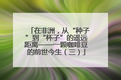在非洲，从“种子”到“杯子”的遥远距离——一颗咖啡豆的前世今生（三）
