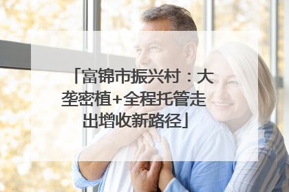 富锦市振兴村：大垄密植+全程托管走出增收新路径