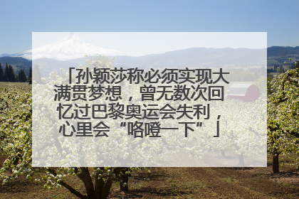 孙颖莎称必须实现大满贯梦想，曾无数次回忆过巴黎奥运会失利，心里会“咯噔一下”