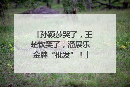 孙颖莎哭了，王楚钦笑了，潘展乐金牌“批发”！