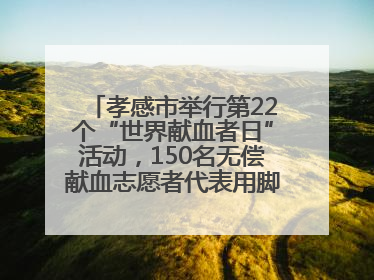 孝感市举行第22个“世界献血者日”活动，150名无偿献血志愿者代表用脚步丈量“中华孝爱第一山”
