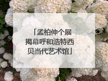孟柏伸个展 揭幕呼和浩特西贝当代艺术馆