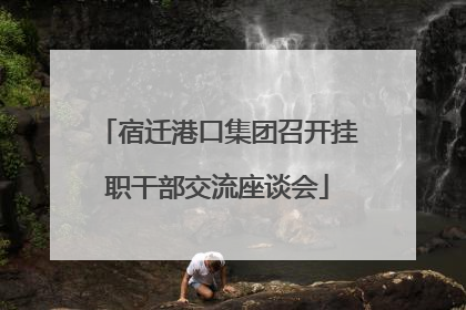 宿迁港口集团召开挂职干部交流座谈会