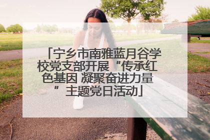 宁乡市南雅蓝月谷学校党支部开展“传承红色基因 凝聚奋进力量”主题党日活动