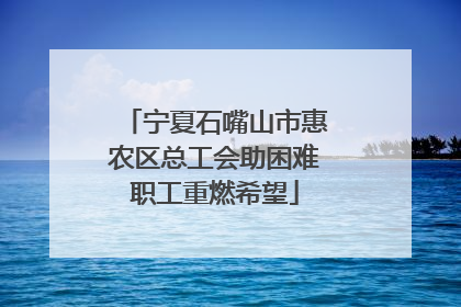 宁夏石嘴山市惠农区总工会助困难职工重燃希望