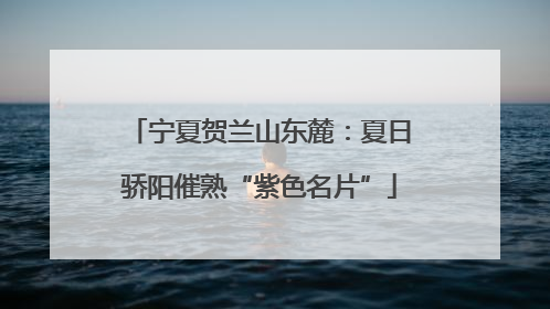 宁夏贺兰山东麓：夏日骄阳催熟“紫色名片”