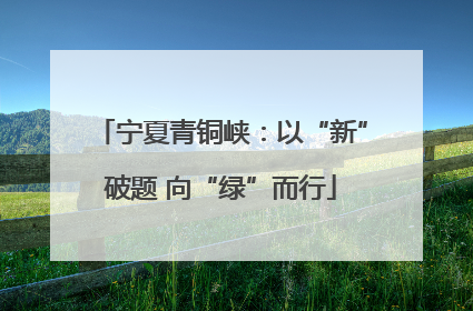 宁夏青铜峡：以“新”破题 向“绿”而行