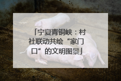 宁夏青铜峡：村社联动共绘“家门口”的文明图景