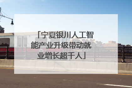 宁夏银川人工智能产业升级带动就业增长超千人
