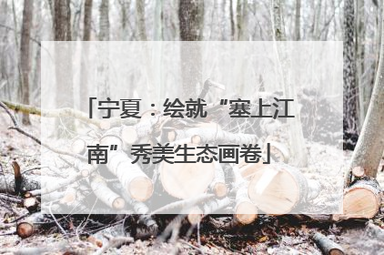 宁夏：绘就“塞上江南”秀美生态画卷
