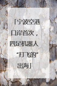 宁波空港口岸首次，四足机器人“打飞的”出海
