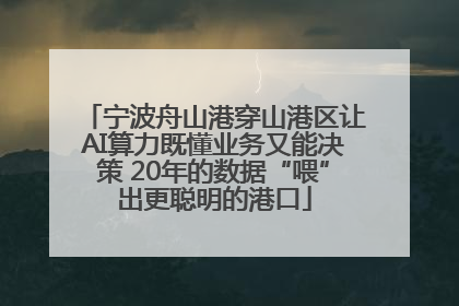 宁波舟山港穿山港区让AI算力既懂业务又能决策 20年的数据“喂”出更聪明的港口