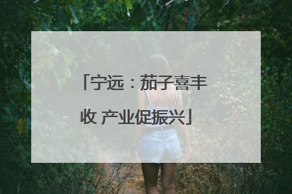 宁远：茄子喜丰收 产业促振兴