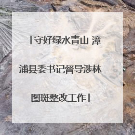 守好绿水青山 漳浦县委书记督导涉林图斑整改工作