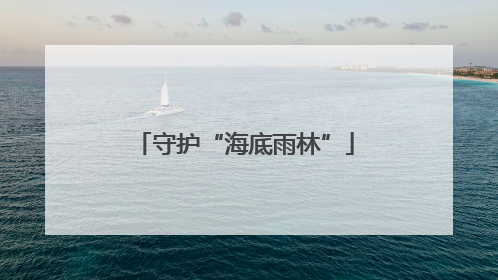 守护“海底雨林”