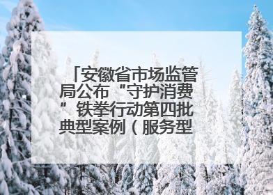 安徽省市场监管局公布“守护消费”铁拳行动第四批典型案例（服务型执法专刊）