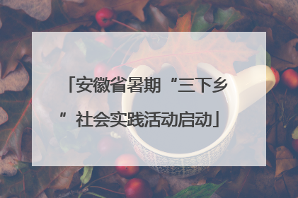 安徽省暑期“三下乡”社会实践活动启动