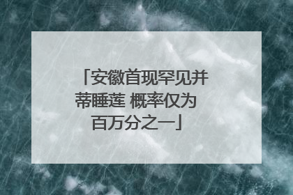 安徽首现罕见并蒂睡莲 概率仅为百万分之一