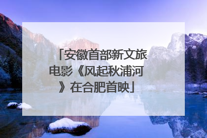 安徽首部新文旅电影《风起秋浦河》在合肥首映
