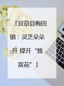 宜章县梅田镇：灵芝朵朵开 撑开“致富花”