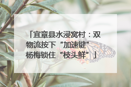 宜章县水浸窝村：双物流按下“加速键” 杨梅锁住“枝头鲜”