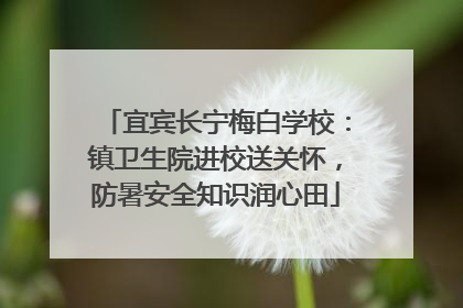 宜宾长宁梅白学校：镇卫生院进校送关怀，防暑安全知识润心田