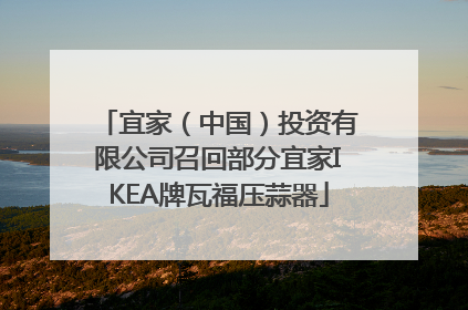 宜家（中国）投资有限公司召回部分宜家IKEA牌瓦福压蒜器
