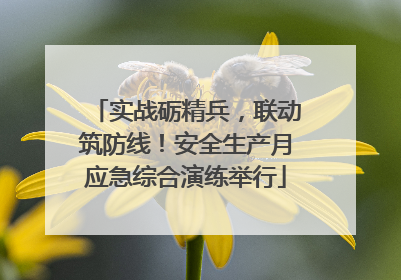 实战砺精兵，联动筑防线！安全生产月应急综合演练举行