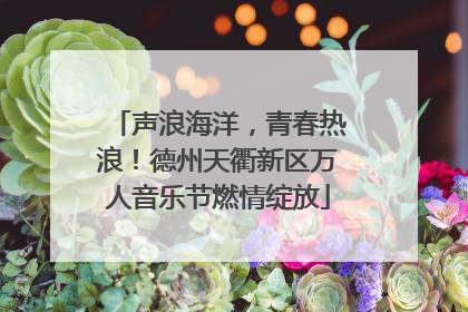 声浪海洋，青春热浪！德州天衢新区万人音乐节燃情绽放