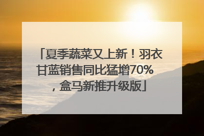 夏季蔬菜又上新！羽衣甘蓝销售同比猛增70%，盒马新推升级版